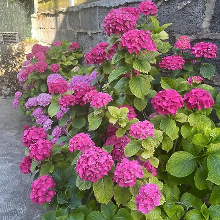 Maison Bord De Seine Guest house